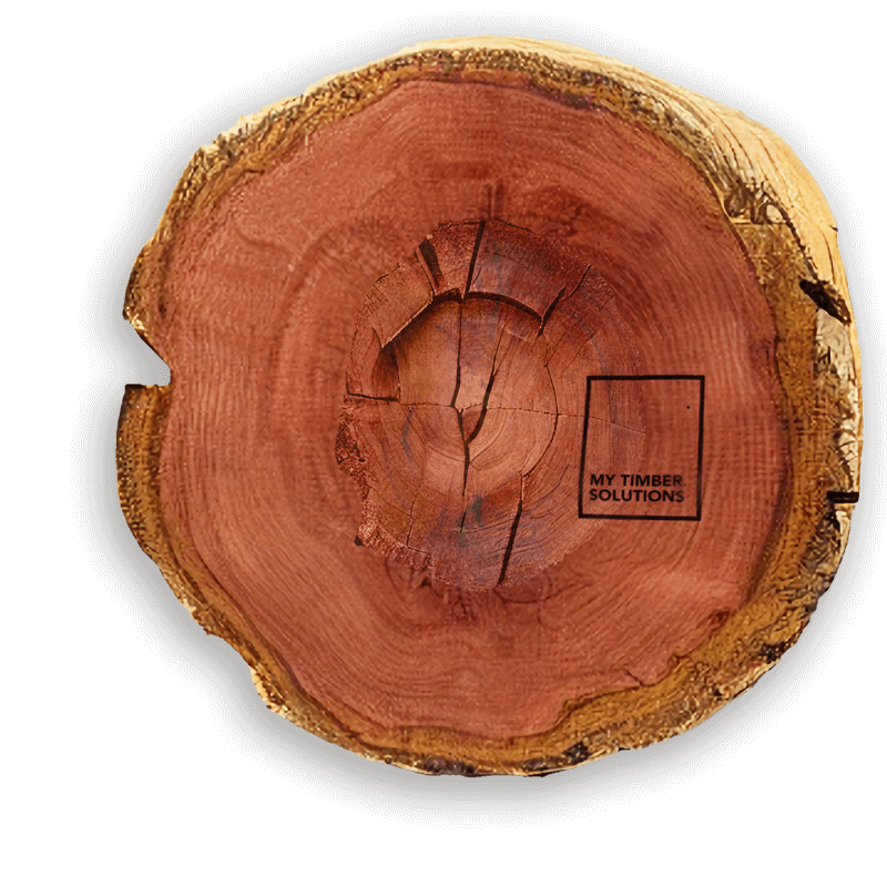 A Rose Gum log for WebSite (4)