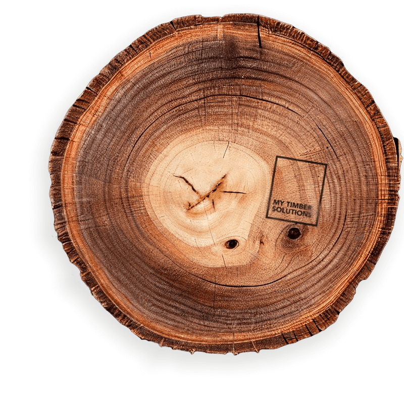 A Timber log for WebSite 2